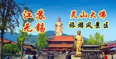 爆插处女视频小说江苏无锡灵山大佛旅游风景区